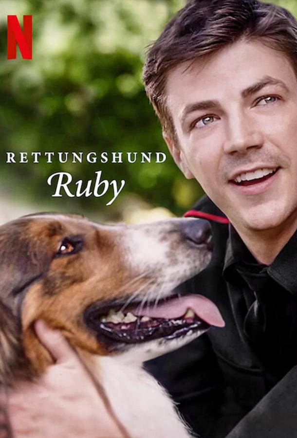 Руби, собака-спасатель